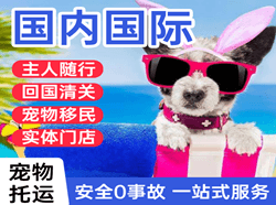 襄阳刘集机场货运国际宠物托运 【国